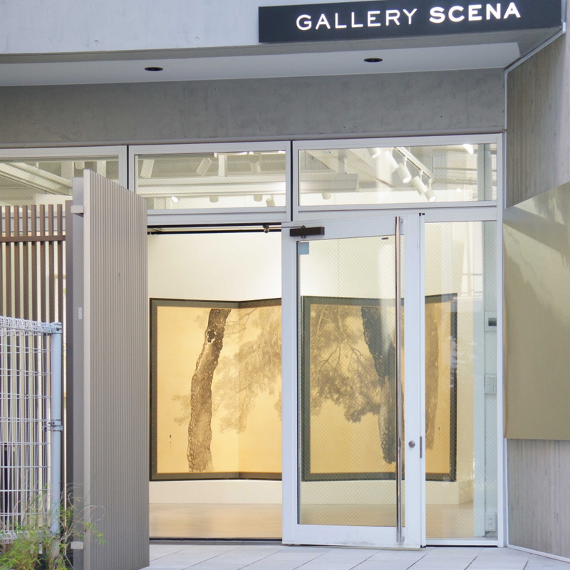 明日12/11より「韻 / Rhyme」展 開催です