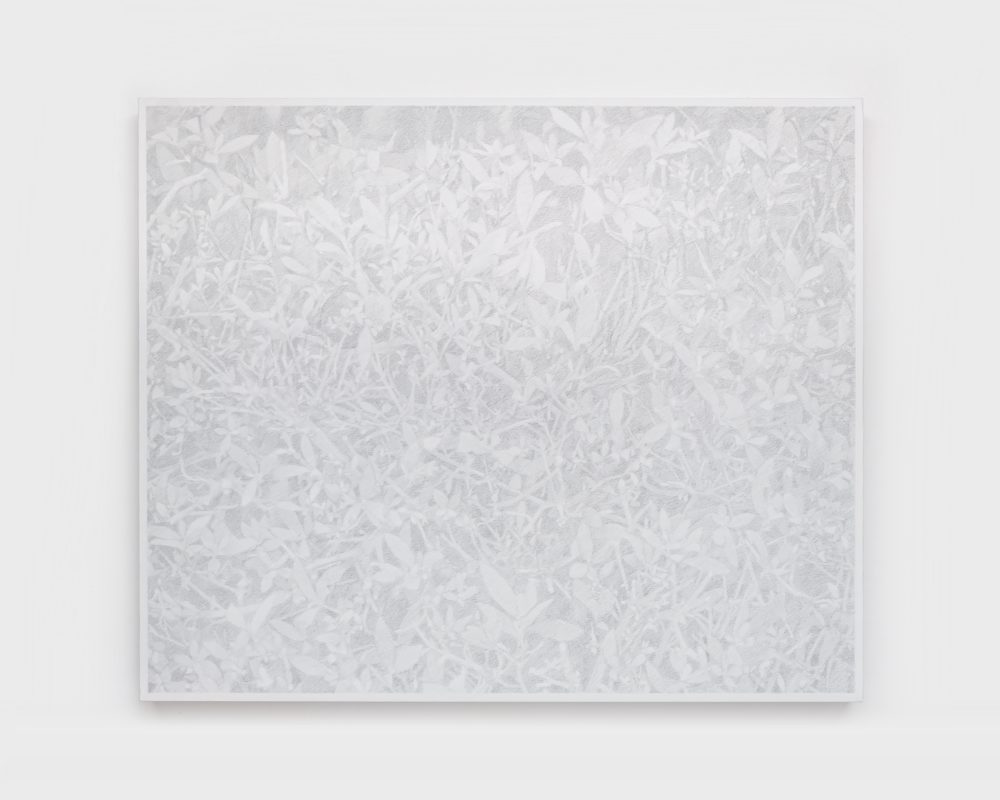 澤田 光琉 “Calm Tone (graphite) #8” 2025