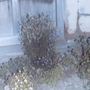 Yuichiro Noda