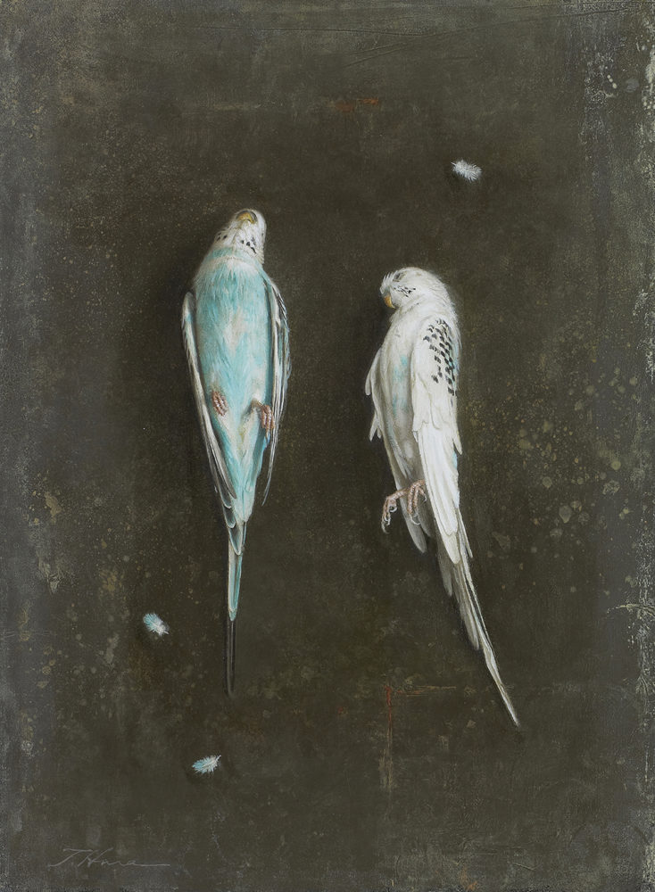 原 崇浩 “Dos Periquitos” 2016