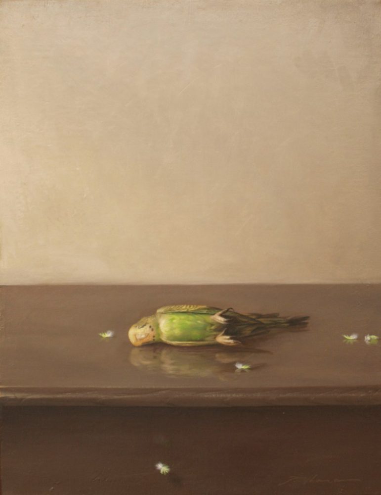 原 崇浩 “Un periquito” 2011