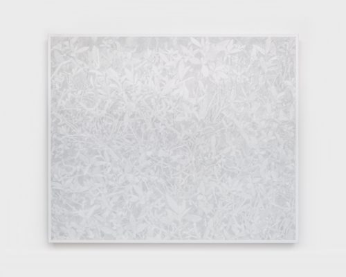 澤田 光琉 “Calm Tone (graphite) #8” 2025
