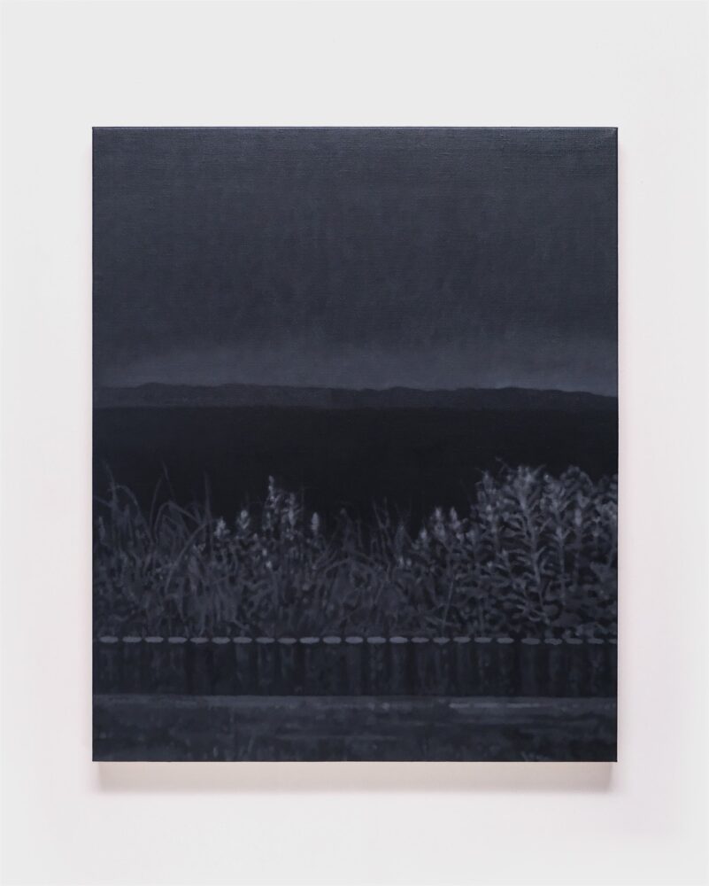 澤田 光琉《Search #1》2024年　キャンバスに油彩　72.7×60.6cm