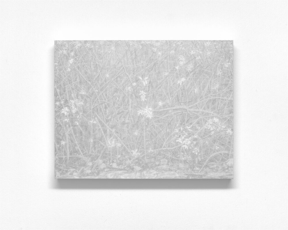 澤田 光琉《Calm Tone (graphite)＃14》2026年　紙に鉛筆・パネル　31.8×41cm