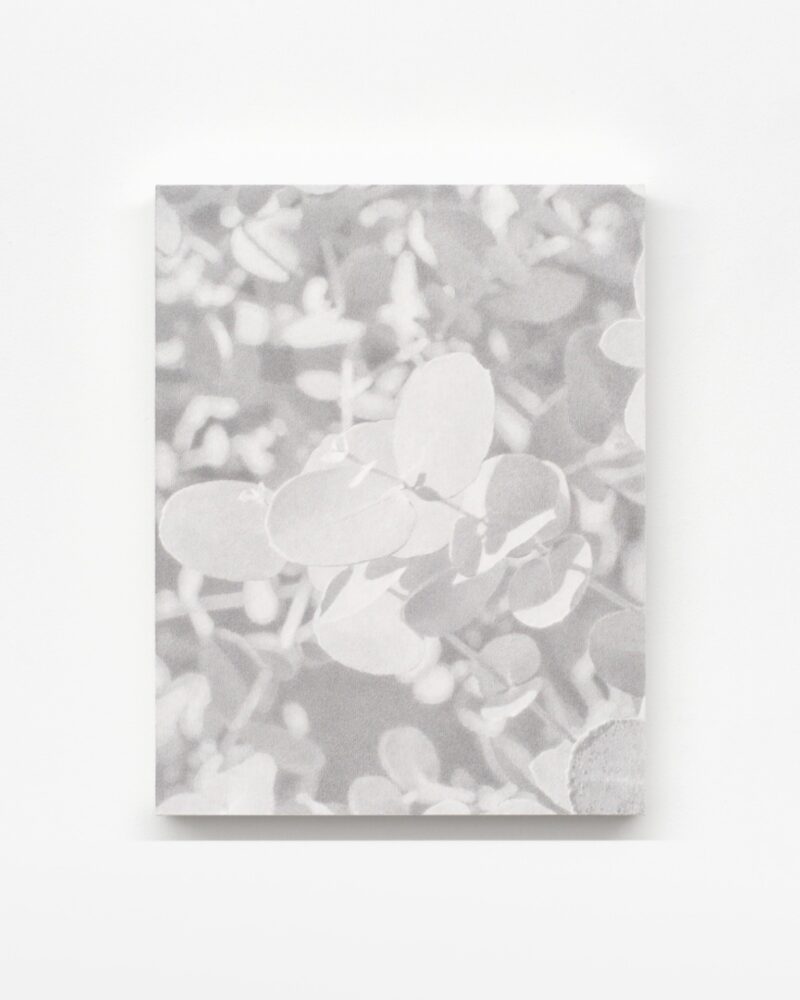 澤田 光琉 “Calm Tone (graphite)＃19”
