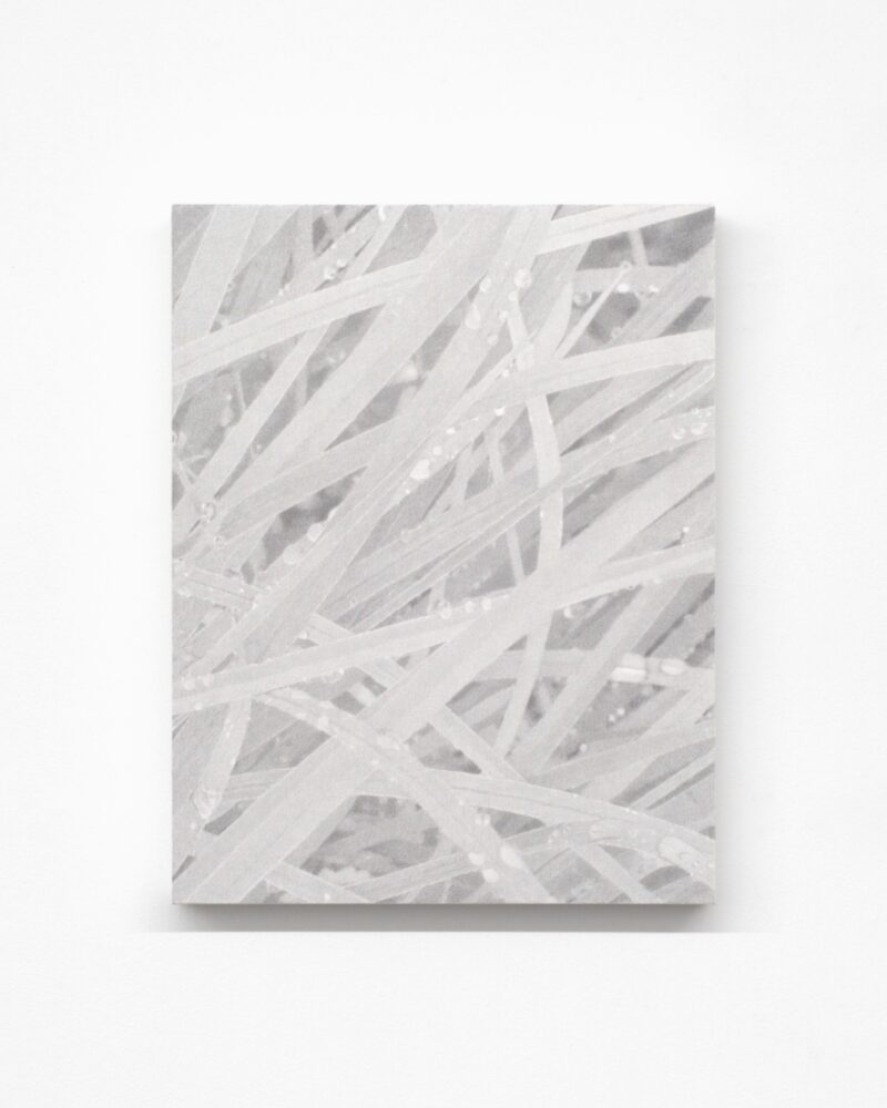澤田 光琉 “Calm Tone (graphite)＃20”